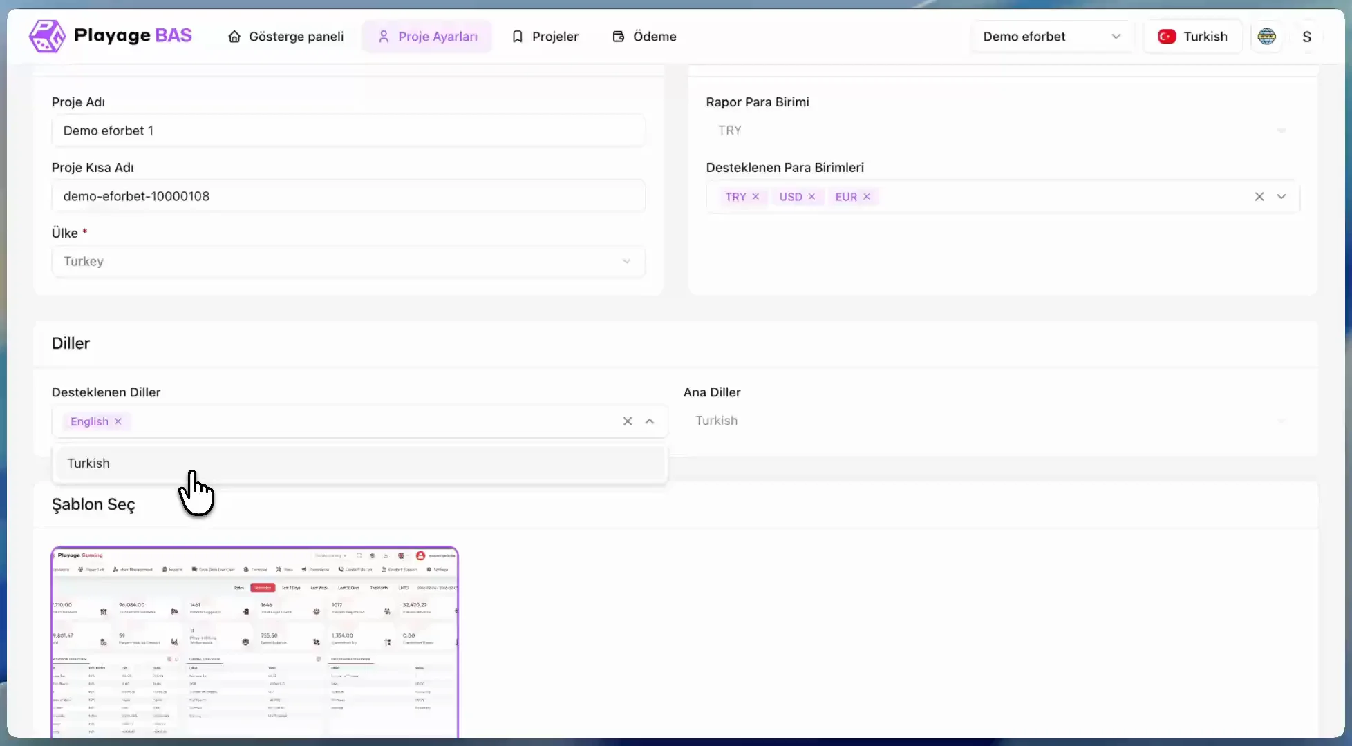 Project Setting