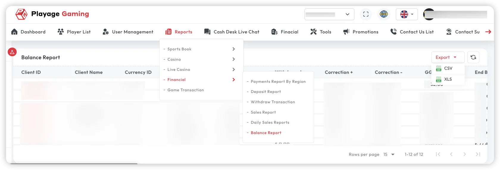 Financial Balance Report